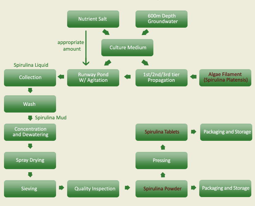 Spirulina Manufacturing Procedures