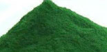 Spirulina Powder